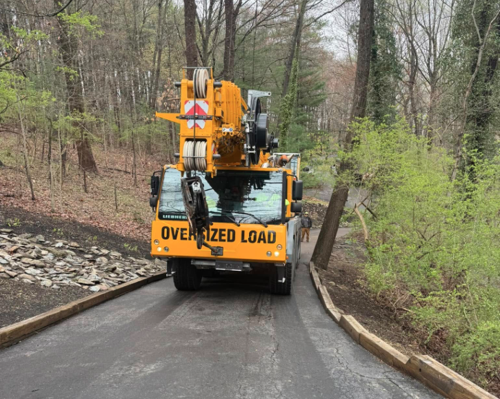Multiple tree removal project by Phantom Tree Service in West Chester, PA