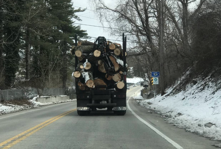 Seasoned firewood cord stacked and delivered by Phantom Tree Service in Chester County, PA