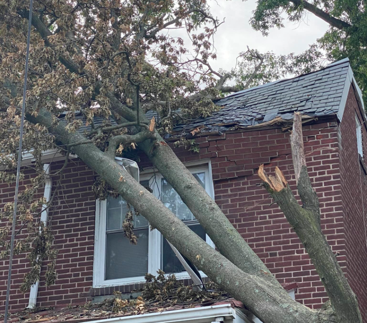 Storm damage emergency tree removal by Phantom Tree Service in Downingtown, PA