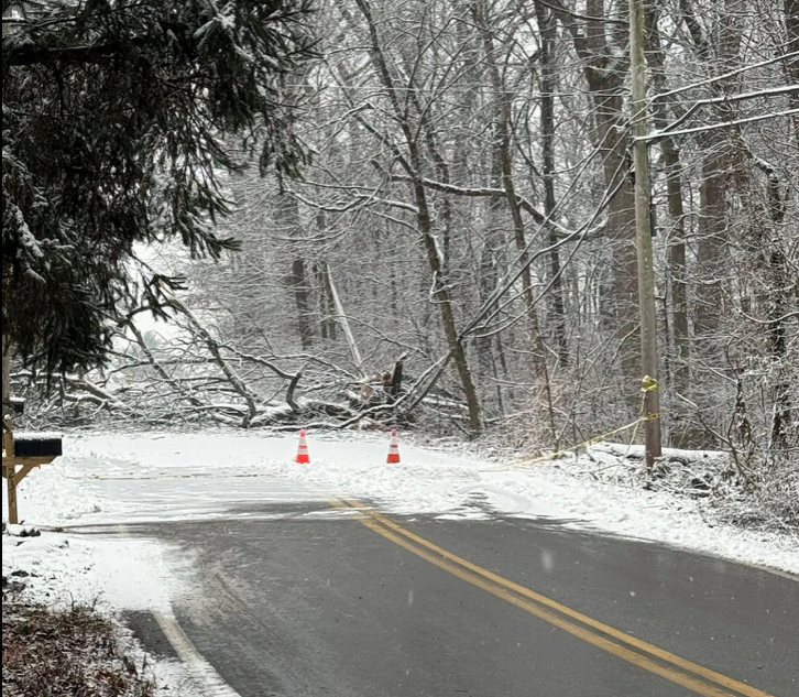 Stump grinding job completed by Phantom Tree Service in Chester County, PA