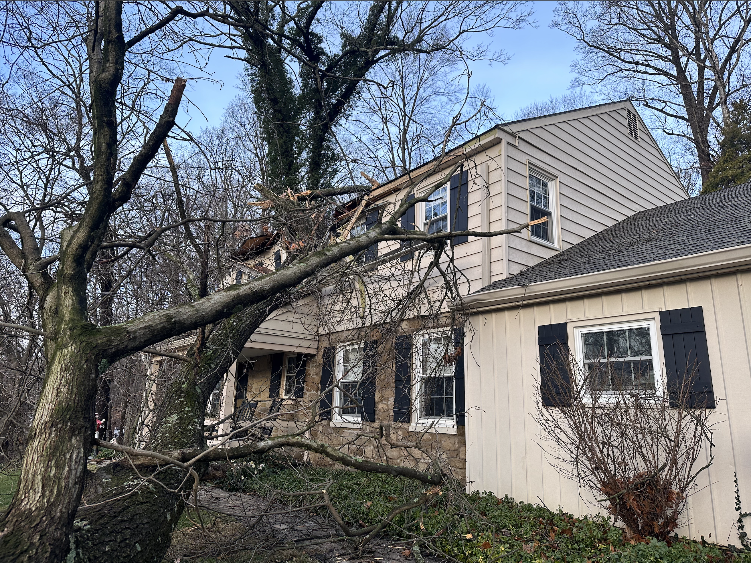 24/7 emergency tree removal in West Chester, PA by Phantom Tree Service
