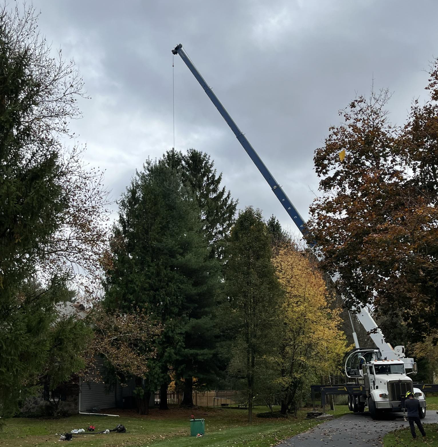 Tree removal service in Downingtown, PA by Phantom Tree Service